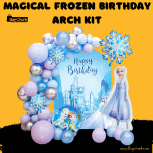 Frozen-themed birthday arch kit with balloons and poster backdrop.