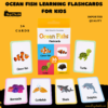 Imported Ocean Fish Learning Flashcards For Kids – 36 Cards Set | Kids Flashcards for Preschool Vocabulary 6 Ocean fish learning flashcards box with colourful clown fish turtle and shark cards.