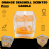 Orange Seashell Gel Scented Candle in Square Glass | Decorative Gel Candle 7 Orange seashell gel scented candle with decorative coastal styling for Pakistani homes